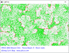 Cellular Automata Forest Fire Model